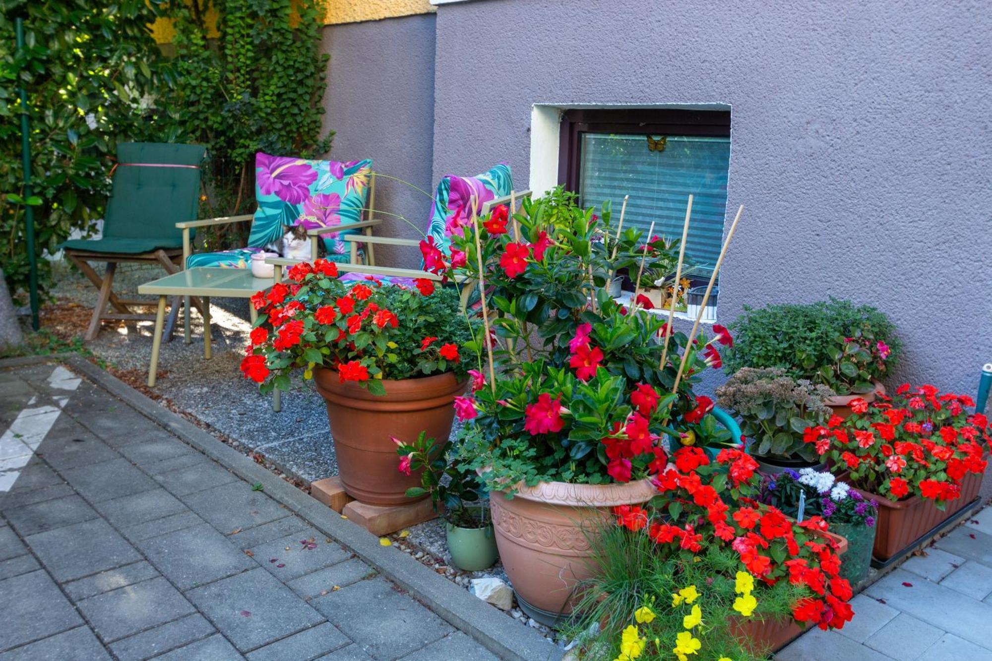 Benjamins Refugium Διαμέρισμα Σάλτσμπουργκ Εξωτερικό φωτογραφία